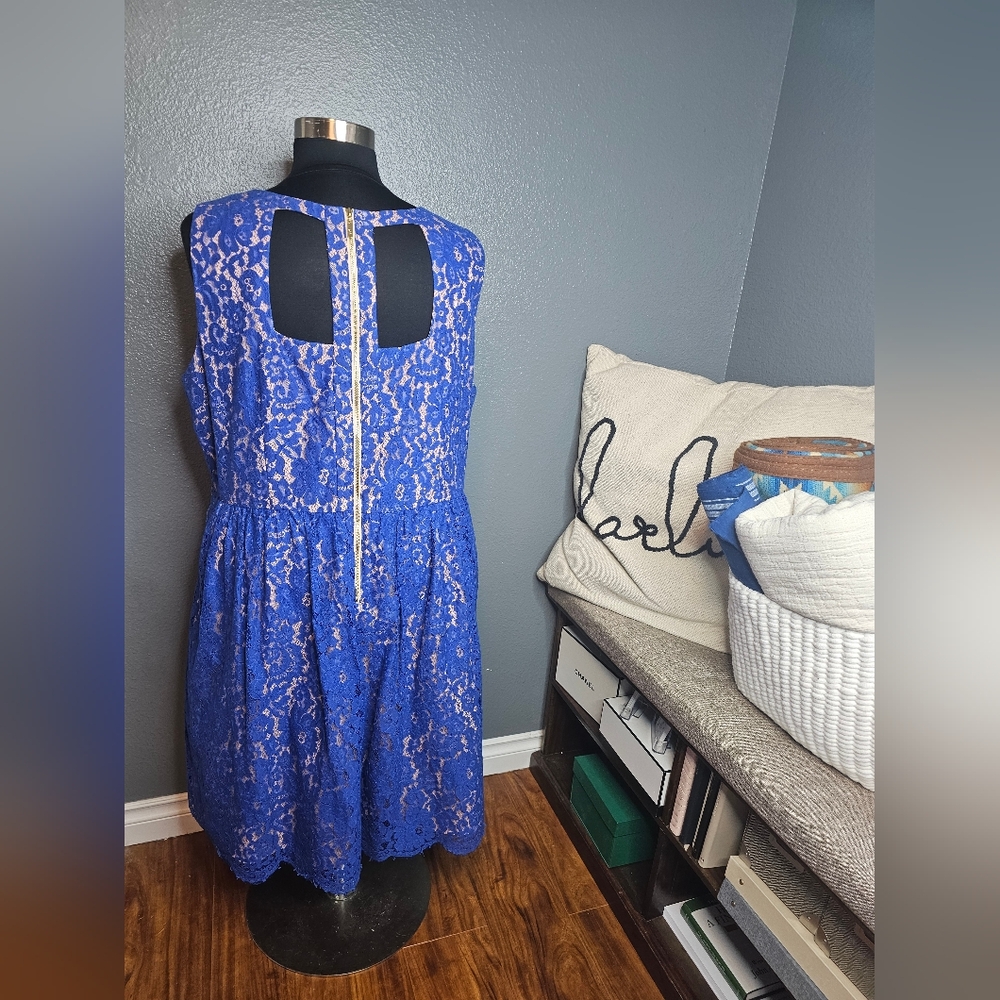 Eliza J Colalt blue lace Cocktail dress size 24W - Picture 4 of 6